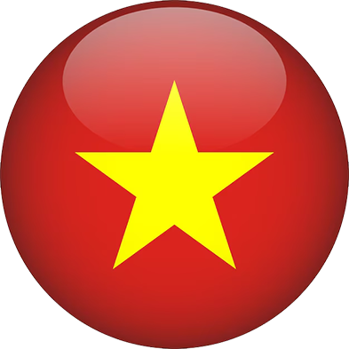 vn